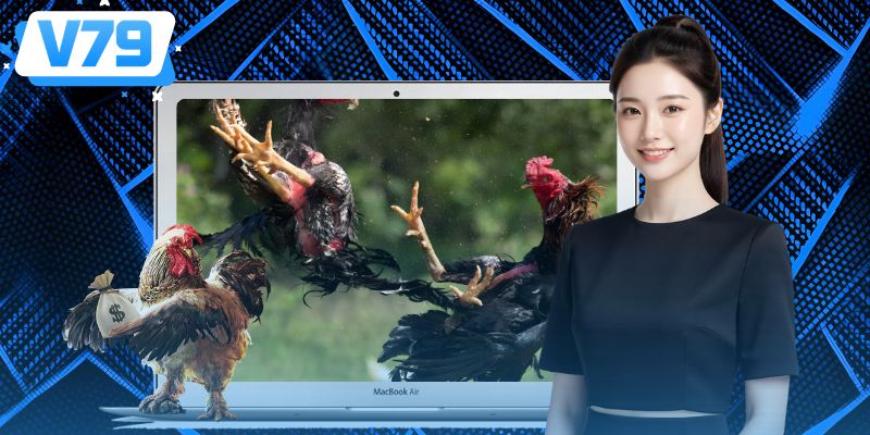 4 hình thức đá gà 88 được yêu thích vừa lựa chọn trải nghiệm