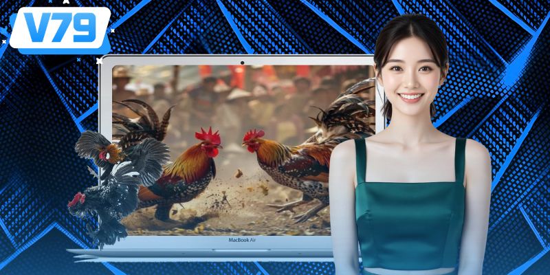 Trực Tiếp Đá Gà Đỉnh Cao Cùng Nhà Cái V79 Mỗi Ngày